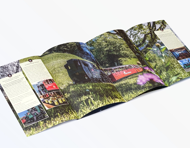 brienz_rothorn_bahn07